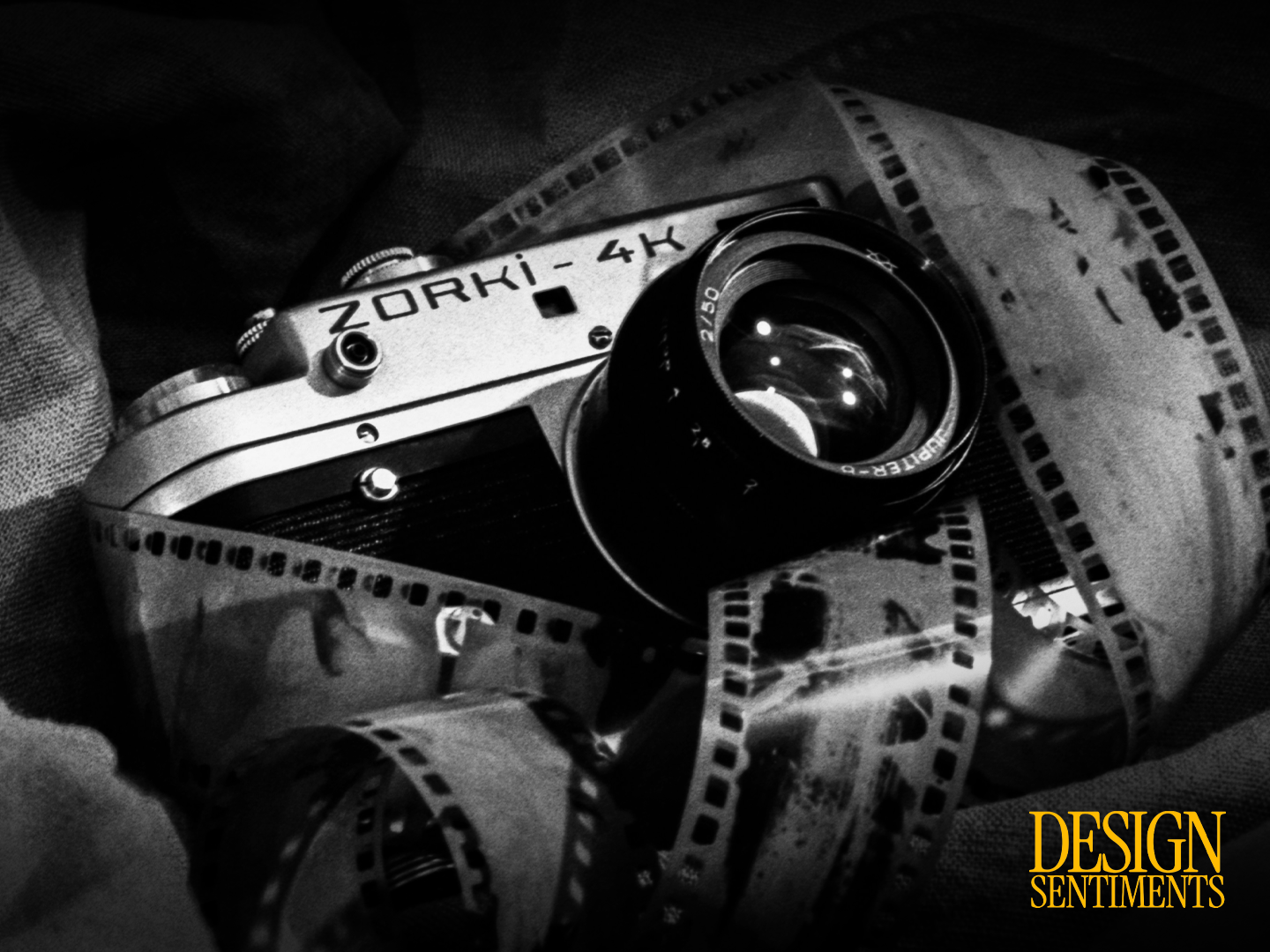Why Film Photography Refuses to Die